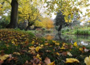 Autumn warning to householders