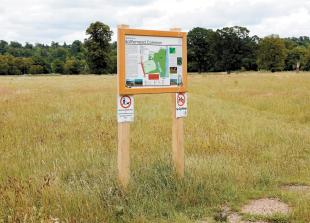 Pilot to make pathways ‘disabled-friendly’ too ‘Maidenhead-centric’, councillor says