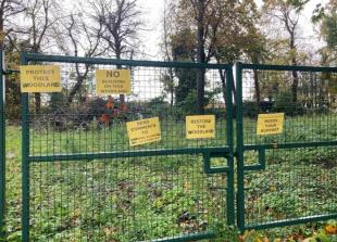 Woodland subject to &lsquo;chainsaw massacre&rsquo; can become new homes after inspector u-turn