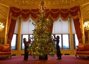 Christmas trees at Windsor Castle