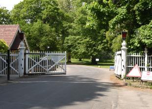 Risk of lethal bacteria in Windsor Great Park pond sees pet owners warned