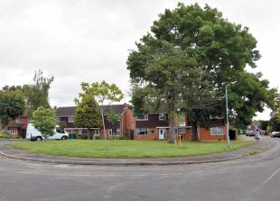 ‘Green roof’ on Maidenhead bungalow does not justify loss of protected trees, inspector says