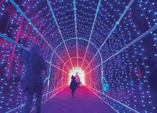 Must-see festive tradition for all ages returns to Windsor Great Park