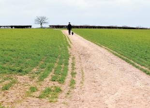 Viewpoint: 'Green and pleasant land' facing calamity