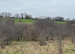 Fear Bourne End, Flackwell Heath and Wooburn 'could merge' if land released for homes Fear Bourne End, Flackwell Heath and Wooburn 'could merge' if land released for homes