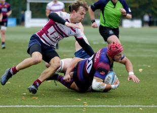 Ingle and Marland star as Maidenhead fightback to beat Wimbledon 41–32