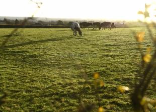 &lsquo;Horrified&rsquo; villagers fear Burnham will be &lsquo;unliveable&rsquo; if 800-home plan approved, meeting hears