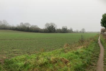 Greenbelt consultation