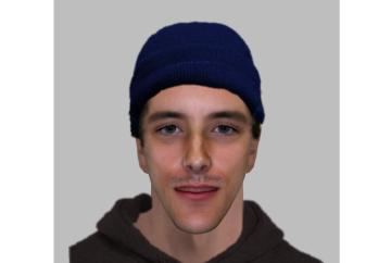 Police looking for man in connection with sexual assault in Dorney