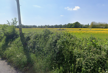 Hurst 99 homes plan thrown out for 'cumulative harms' to village, inspector rules