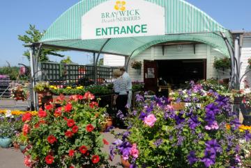 Braywick Heath Nurseries set to close unless partner can be found
