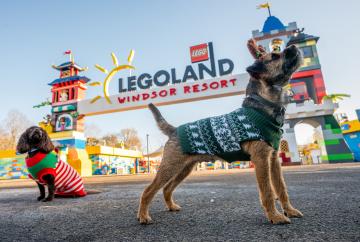 Em-bark on festive fun: Legoland unleashes first ever dog-friendly days
