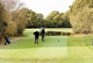 Advertiser review of the year 2024: February