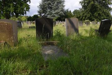 Advertiser review of the year: June