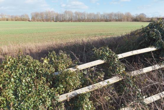 Public notices: Plans for Woodlands Park grow as &lsquo;greybelt&rsquo; proposal reaches 300 homes