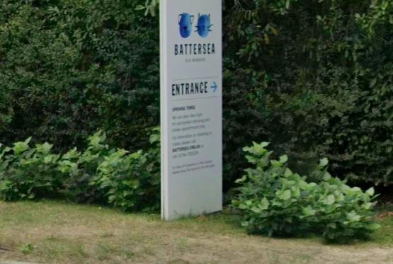 Battersea Old Windsor appeals for more foster carers