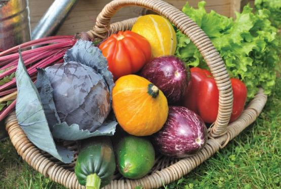 How to preserve the fruits of your labours