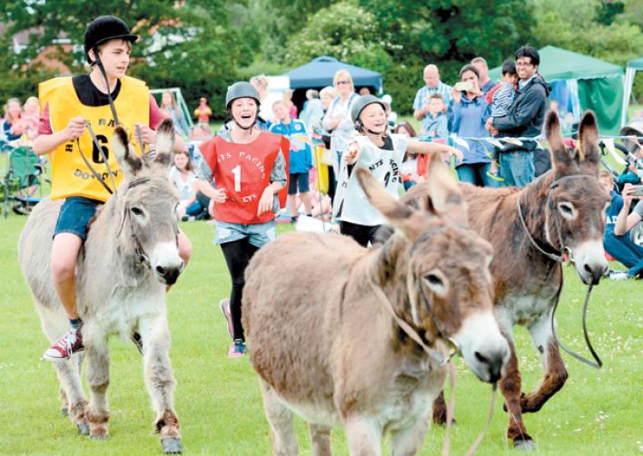 In pictures Twyford Summer Fair and Donkey Derby 2017 Photo 1 of 18