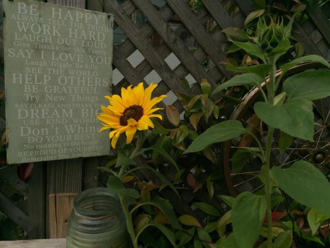 Jane Eales won second prize with this photo