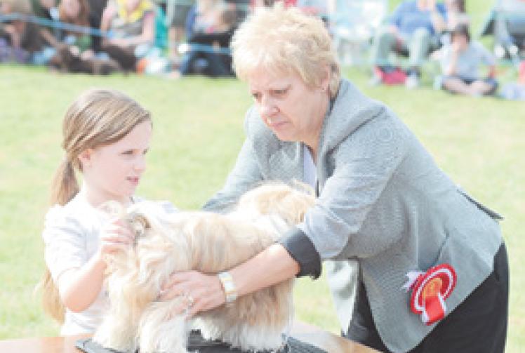 Money off entry to Littlewick Green Show