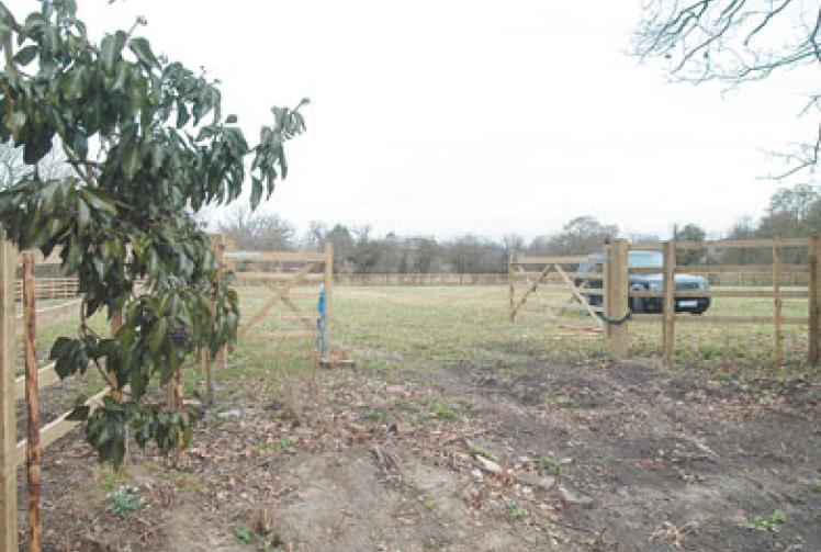 Gypsy site in Hurst considered at appeal