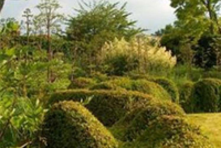 Waltham Place opens gardens for summer