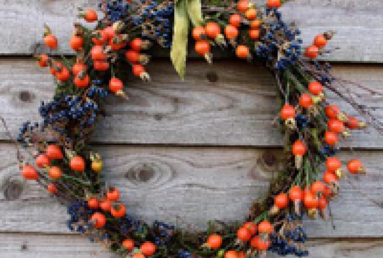 How to make a Christmas wreath from the garden and hedgerow