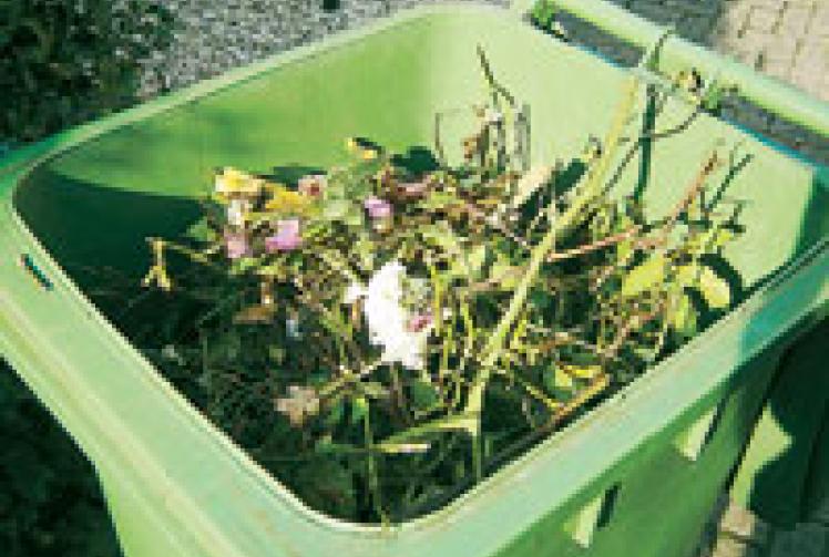 Council could spend £37k on more green waste bins Maidenhead Advertiser