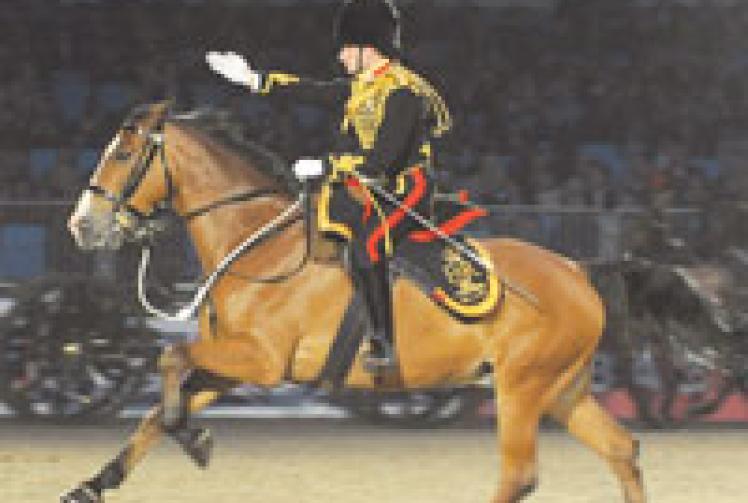 Windsor Military Tattoo will not take place this year