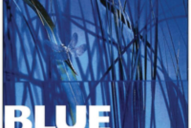 Get 30 per cent off at Blue River Cafe