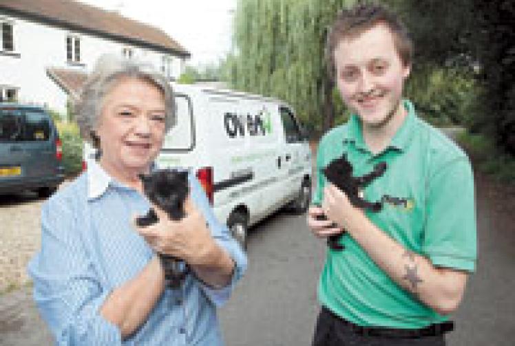Oven cleaning specialist launches fundraising effort for cat charity