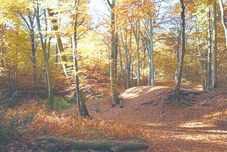 Children urged to get outdoors this Autumn 