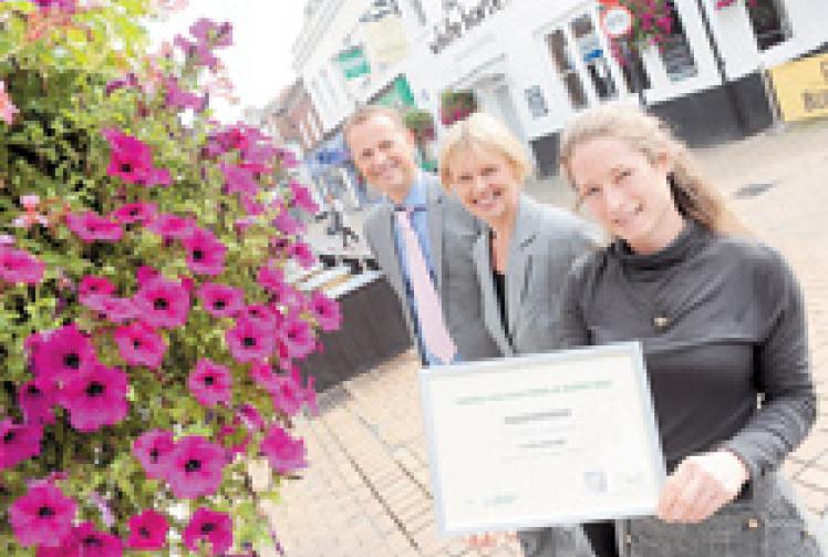 Hanging baskets secure town centre with Britain in Bloom award