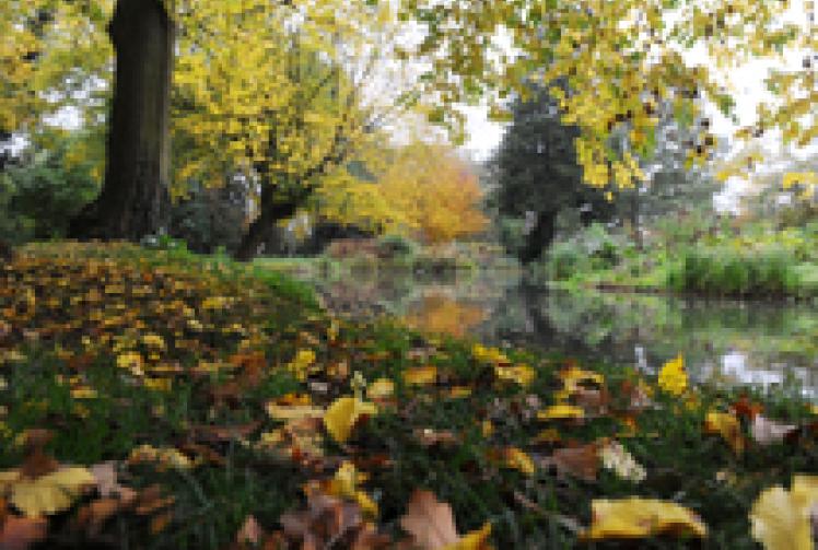 Autumn warning to householders