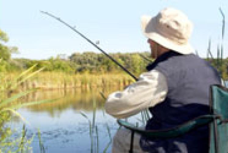 New measures to protect fish stocks from predators