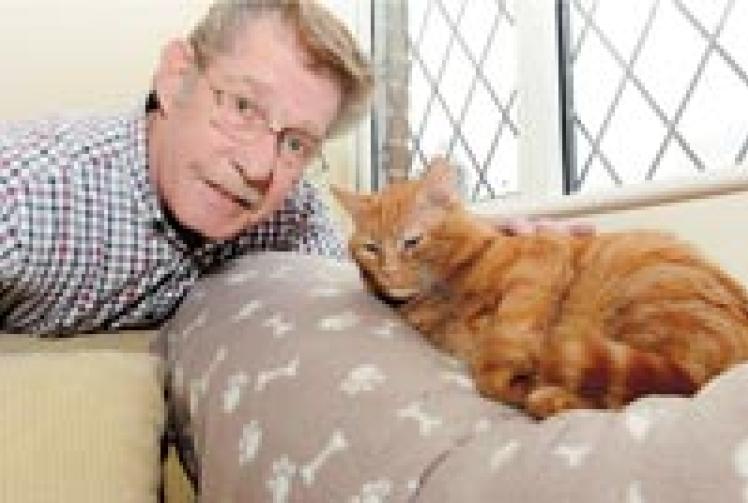 Feral cat population explosion in the Slough area