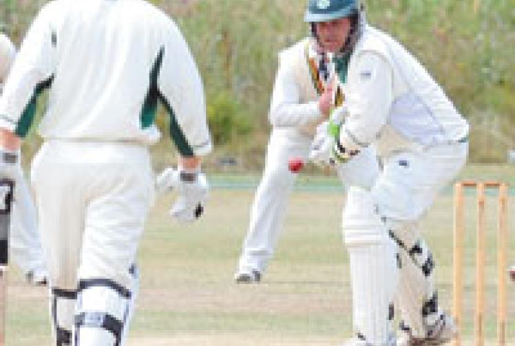 Two captains for Buckinghamshire CCC as Harrison gives up one-day side job