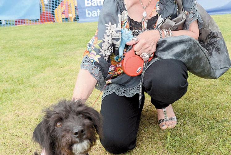 Jacqueline Wilson Attends Battersea Dogs And Cats Home Open Day Maidenhead Advertiser