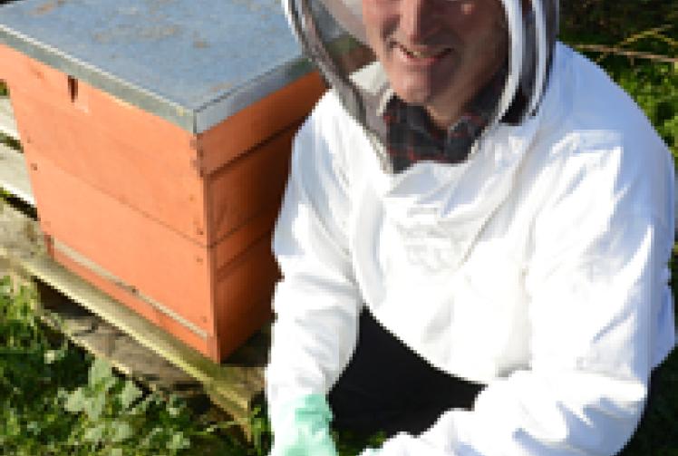 Bees and Honey: Bees support BKIP