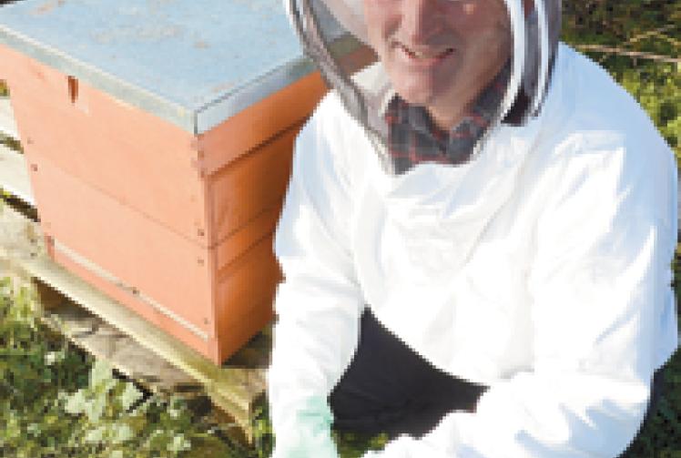 Bees and Honey: Honey, get back..