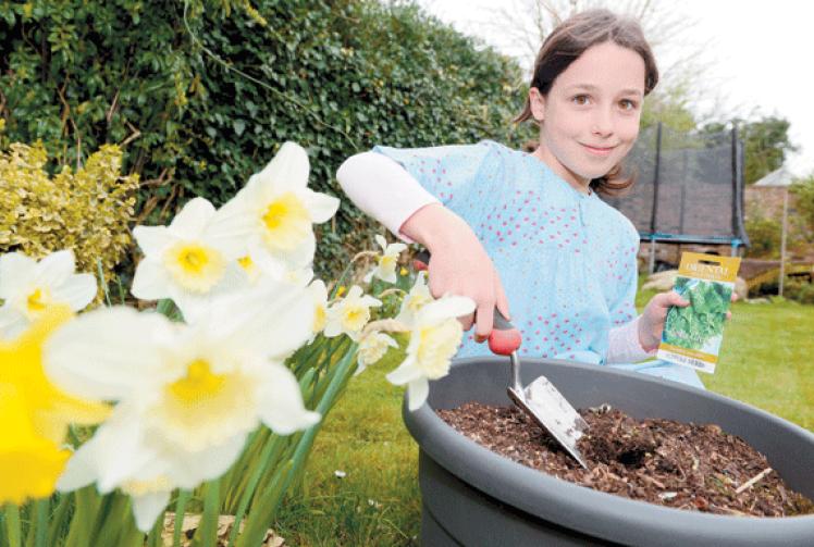 Gardening tips for growing sweet peas to enter at Royal Windsor Rose Show this summer