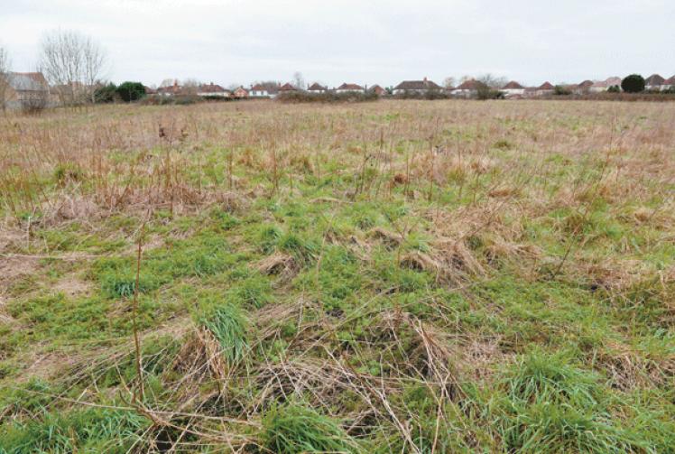 Deerswood Meadow set to be sold off for housing Maidenhead Advertiser