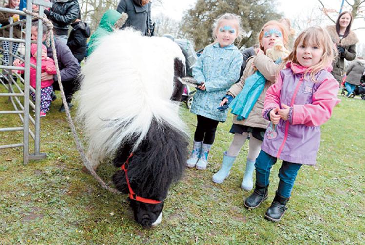 In pictures: Basil and Crew?s mobile farm at Herschel Park