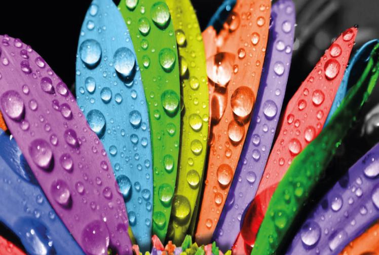 WAMCF 2017 Interfaith Dialogues