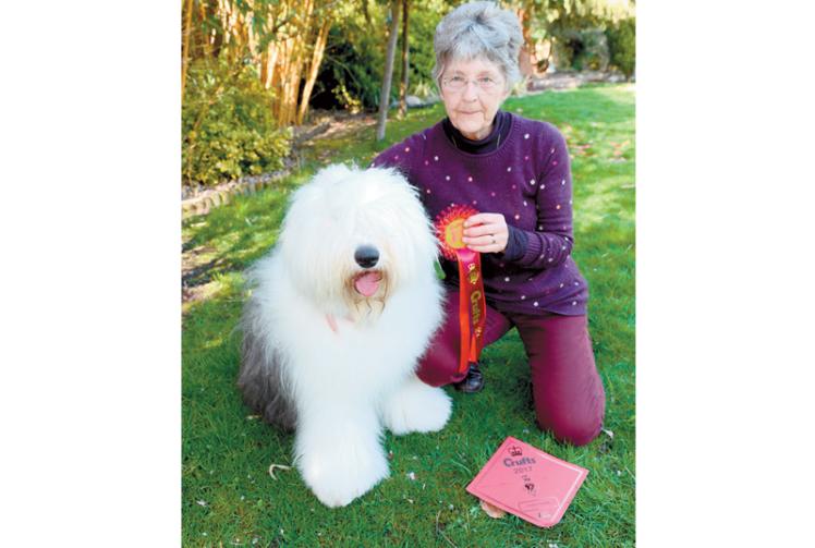 Top dogs steal the show at Crufts