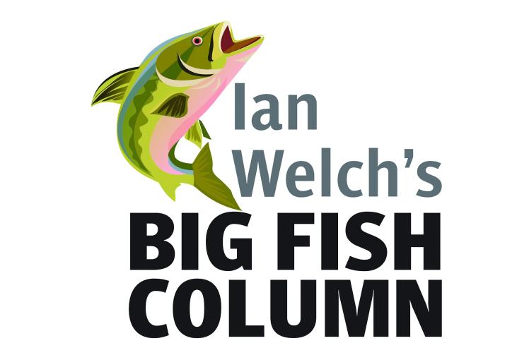 Big Fish Column: Boilie tipped with artificial maggot nets Jason 18lb common carp
