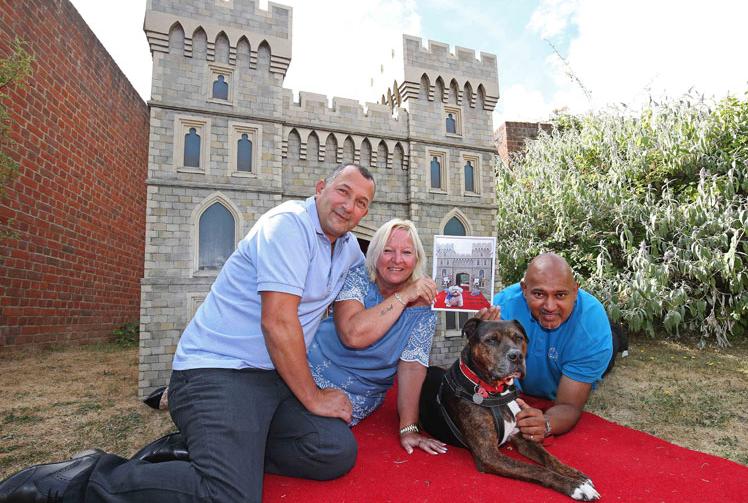 Millionaire donates 'Windsor Castle' pet palace to Battersea Dogs and Cats Home 