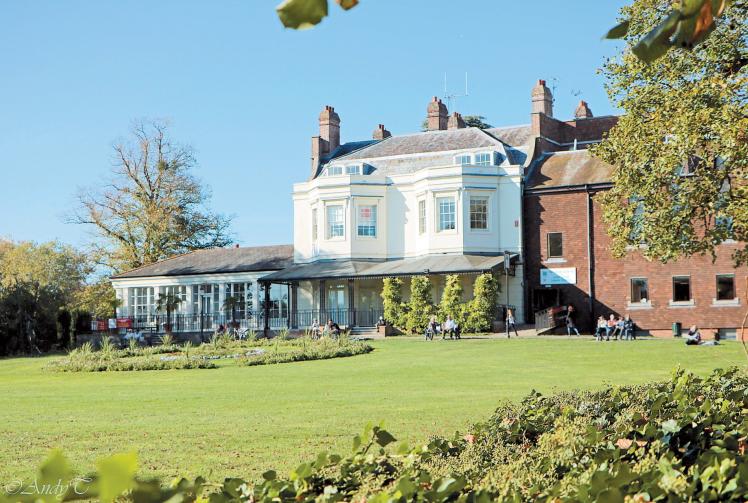 The Big Picture Autumn sunshine in Higginson Park by Andrew Tudball