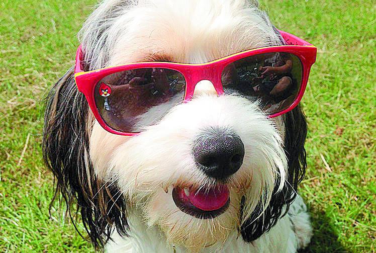 Hottest Maidenhead day since July recorded