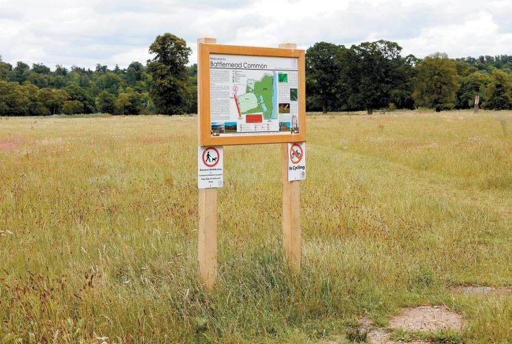 Pilot to make pathways ‘disabled-friendly’ too ‘Maidenhead-centric’, councillor says